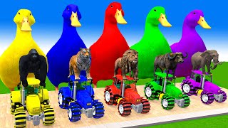 5 Giant Duck CartoonCowElephantBuffaloLionTigerPaint Wild Animals Crossing Fountain Animation [upl. by Remmus]