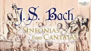 JS Bach Sinfonias from Cantatas [upl. by Ativla]