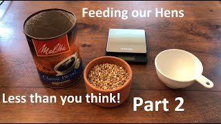 Feeding Our Celibate Racing Hens Grams Ounces and Volume Explained [upl. by Liva]