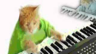 Wonderful Pistachios Commercial Generations of Keyboard Cat version [upl. by Notsnorb]