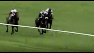 Ayr 02012024 races replay and results  Horse Racing [upl. by Autumn]