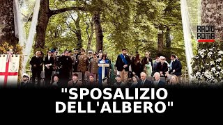 Vetralla celebrato lo storico quotSposalizio dellAlberoquot [upl. by Lilahk401]