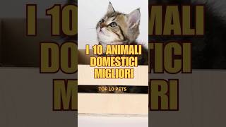 I 10 Animali Domestici Migliori [upl. by Clarisa389]