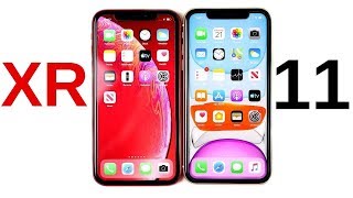 Should You Buy iPhone XR or iPhone 11 [upl. by Berstine]