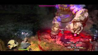 Dragons Dogma  How to kill any giant foe with ease  most powerful spell [upl. by Eila807]