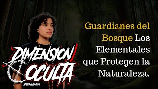 Guardianes del Bosque Los Elementales que Protegen la Naturaleza [upl. by Mccormick951]