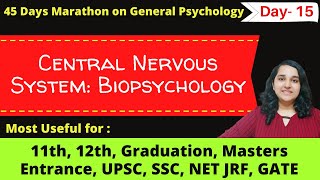 Central Nervous System in Hindi biopsychology Mind Review [upl. by Aleris706]