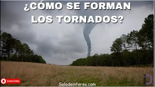 ¿Cómo se forman los tornados [upl. by Enorahs]