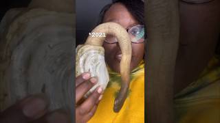 I Tried GeoDuck For The 1st Time [upl. by Nennerb]