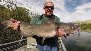 Channel Catfishing in Washington [upl. by Kinchen]