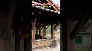 Shiri Kamrunag Dev Mandi Himachal Pradesh Short Video nature wildlife nature temple kamrunag [upl. by Biel532]