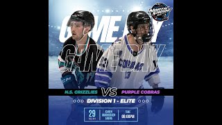 Div 1 Elite  Grizzlies vs Purple Cobras [upl. by Kcinomod]