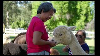 Farm Days Redding CA [upl. by Ahsikrats]