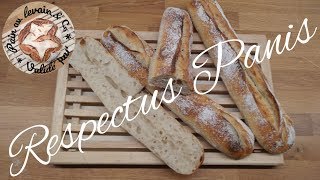 Baguettes Respectus Panis au levain [upl. by Yolanthe581]