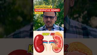 SARSAPARILLA  HOMEOPATHIC Medicine  Dr Aadil Chimthanawala  Pathri  Kidney Stone  Urine Problem [upl. by Nuahsyd637]