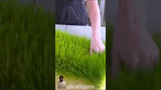 😬😱 farming agriculture farm grass ytshorts facts woodworking artist shortsvideo funny [upl. by Alyar115]