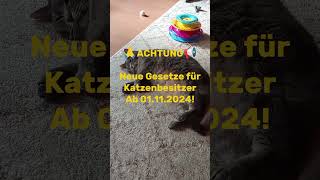 ⚠️Achtung Neue Gesetze für Katzenhalter ab 0111⚠️ [upl. by Sokram196]