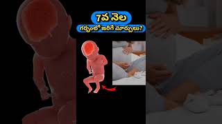 7వ నెల గర్భంలో జరిగే మార్పులు  7 months pregnancy and baby growth [upl. by Alda]