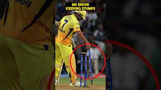 Top Secret behind Cricket Stumps  Why there are three stumps in Cricket  cricket msdhoni trend [upl. by Lilith]