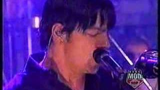 three days grace pain live [upl. by Ardek]