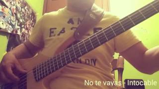 Intocable  No te vayas cover en el bajo [upl. by Ilecara]