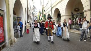 Einmarsch Gedenkveranstaltung Waltherplatz 18042015 [upl. by Ynabla374]