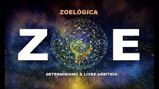 ZOELÓGICA MUSIC [upl. by Notsyrb]