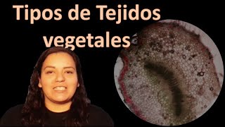 Tejidos vegetales [upl. by Assirehc]