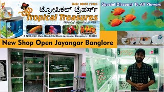 Tropical Treasures Aquarium fish shop Jayanagar Bangalore  Newly opened [upl. by Atikir476]