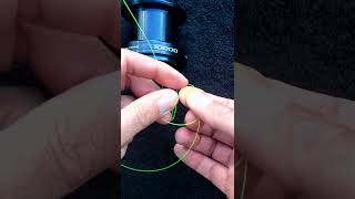 Fishing Tip How To Tie An Arbor Knot shorts [upl. by Coralie]