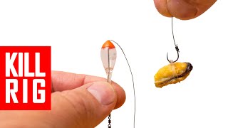 How to tie killer float rig [upl. by Sudnor929]