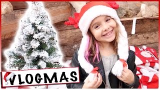 VLOGMAS 4  A la recherche de notre Sapin de Noël  Dimanche en famille [upl. by Porte]