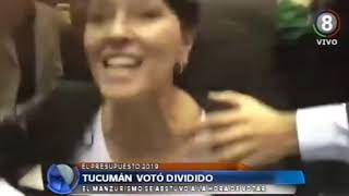 Presupuesto 2019 Tucumán votó dividido [upl. by Binnings353]