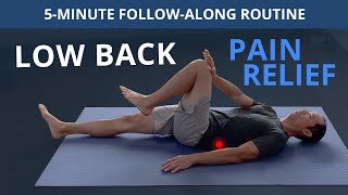 5 Minute Daily Routine for Low Back Pain Relief FOLLOWALONG [upl. by Benedicto]