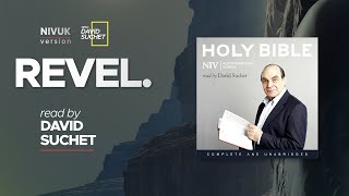 The Complete Holy Bible  NIVUK Audio Bible  66 Revelation [upl. by Thebazile]