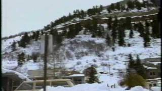 Sled Dogs commercial  1996 [upl. by Nauqes]