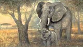 Saint Saens Carnival of the AnimalsLElephant The Elephant [upl. by Inad]