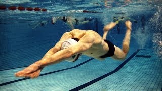 natation éducatif papillon  1 mouvement de bras 4 ondulations [upl. by Aehsal]