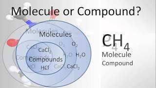 Molecule vs Compound Examples and Practice [upl. by Efron718]