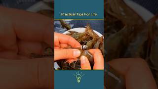 The Incredible Trick to Clean Prawns😱YounesTech [upl. by Fates]