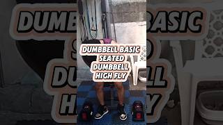 Fitness at Home seated dumbbell high fly dumbbellexercise workoutseries [upl. by Funk848]