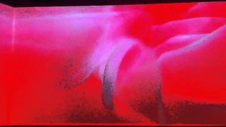 Pipilotti Rist Lobe of the Lung Part 1 [upl. by Wilhelm]