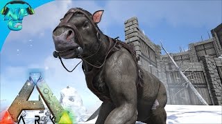 Patch v248 Chalicotherium TamingTesting and Explorer Notes ARK Survival Evolved [upl. by Eisiam]