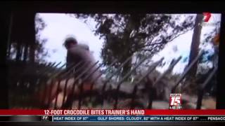 GRAPHIC VIDEO 12Foot Crocodile Bites Trainer [upl. by Otte]