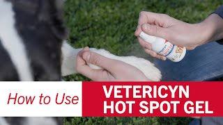 How To Use Vetericyn Antimicrobial Hot Spot Gel [upl. by Ashatan]