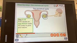 KS4GCSEBIOLOGYHormonesMenstrual cycle [upl. by Hulton75]