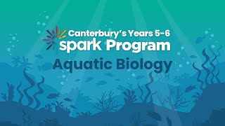 Canterbury’s Years 56 Spark Program  Aquatic Biology [upl. by Anatollo]