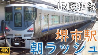 【大混雑】混雑がカオス！凄まじい！JR阪和線 堺市駅 朝ラッシュ 撮影集 ☆快速鳳行☆普通東岸和田行☆直通快速など☆ [upl. by Leroy962]