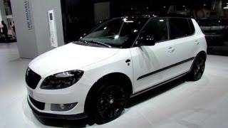 2013 Skoda Fabia TSI  Exterior and Interior Walkaround  2012 Paris Auto Show [upl. by Aivila643]