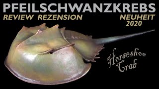 CollectA ® Pfeilschwanzkrebs  Horseshoe Crab  2020 Neuheit  Review [upl. by Nike911]